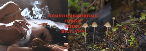 соль ск Алексин