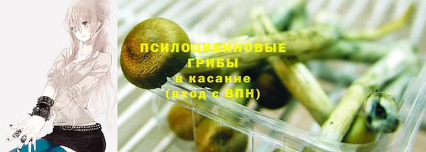 твердый Алзамай