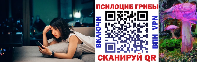 Псилоцибиновые грибы Psilocybe  наркотики  Боготол 